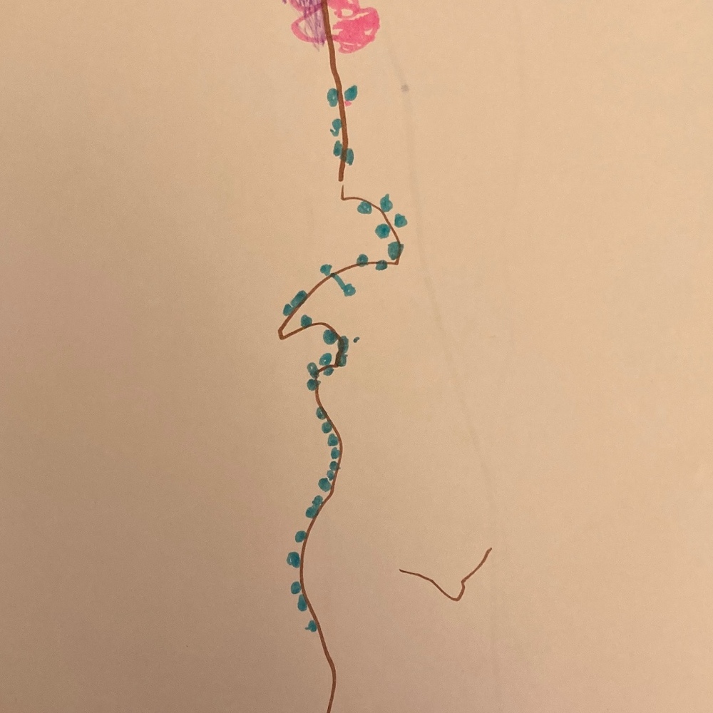 Meet your Posher, Fan